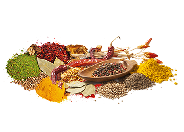 Spices and additives for the meat industry